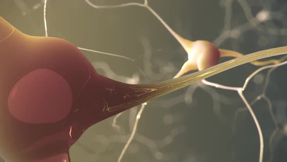 Neuron and synapses alt