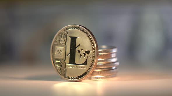 Altcoin Gold Coin Litecoin Rotate on the Surface with Beautifil Reflection. Many Other Popular