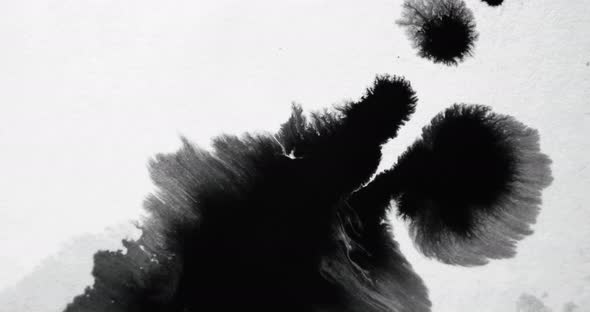 Ink Water Splash Reveal Transition Black Dye Stain alt