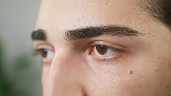 Brown Eyes of Young Brunette Man Closeup Shooting Male Face Calm View