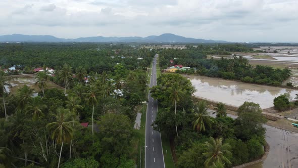 Aerial green scenery road with plantation