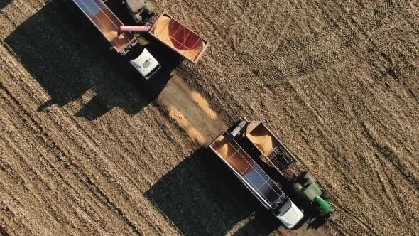 Combine Harvester Auger Unloading Harvested Corn into Trailer