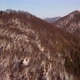 Aerial view. Flight over a snowy forest in a mountainous hilly landscape in winter - VideoHive Item for Sale