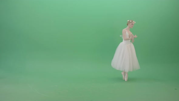 Green Screen Ballerina Ballet Girl Posing For Advertising Packshot