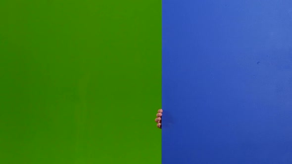 Child Looks Out From Behind an Empty Board. Green Screen