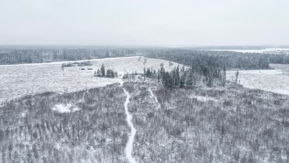 Winter Snow Covered Field with Forest and Path Flying