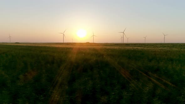 Wind turbines producing of electricity at sunset 