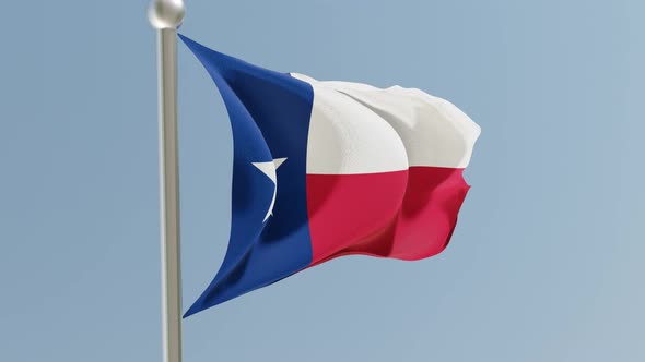 Texas flag on flagpole.