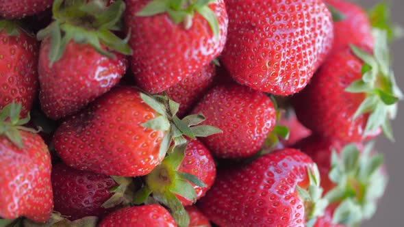 Harvest Of Ripe Red Strawberries Rotation Closeup Vertical Shot