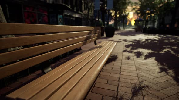 Park Bench in Downtown on a Cloudy Afternoon