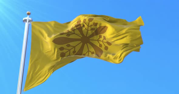 Flag of the Emperor of Manchukuo, Imperial Standard, State of Manchuria