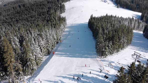 Aerial Ski Slopes with Skiers and Ski Lifts on Ski Resort. Snowy Mountain Forest