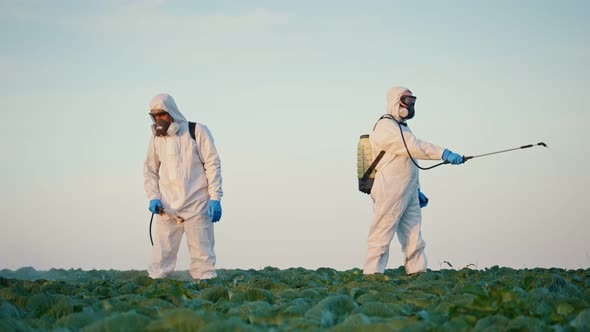 Men in Protective Suits with Respirators Spray Toxic Pesticides Pesticides on Plantations