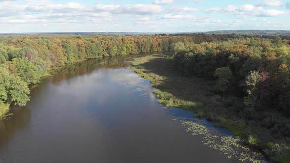 The Camera Flies Over the Coniferous Forest Towards the River