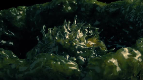 Alien Creature Moves Around In Slimy Cocoon