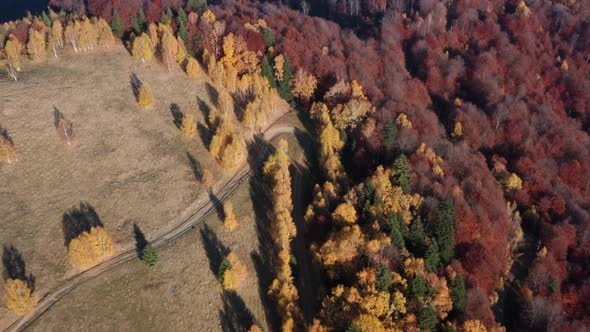 Autumn Landscape Aerial Images