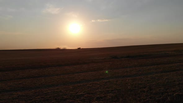 Harvest during summer sunset from the fields. Many combines harvesting wheat. 