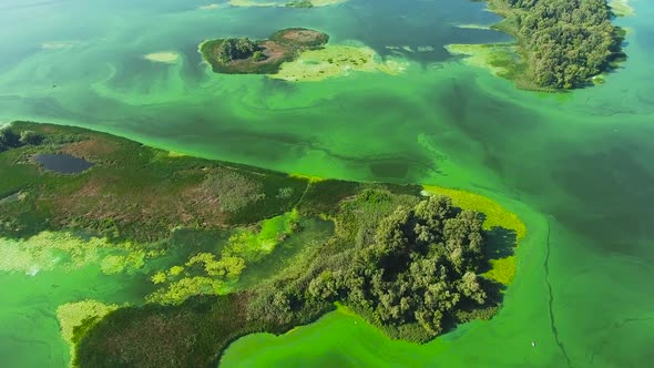 aerial of islands on wide river polluted with green algae