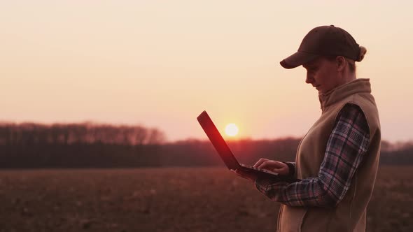 Young Woman Farmer Works with a Laptop Near Her Field at Sunset