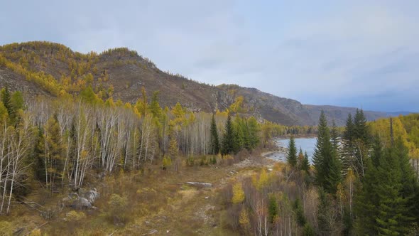 Flight Over a Wide Mountain Range Beautiful Mountains and a Beautiful Autumn Forest