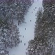 Skiers In The Forest - VideoHive Item for Sale
