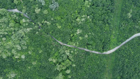 Aerial View Over Forest with a Road Going Through with Car