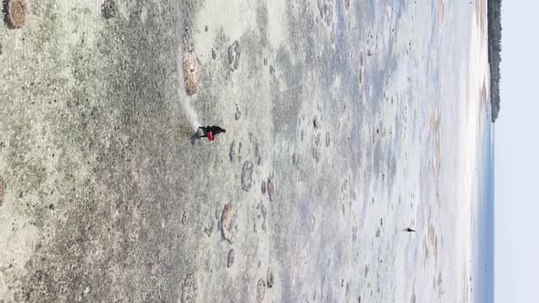 Vertical Video of the Ocean Near the Coast of Zanzibar Tanzania Aerial View