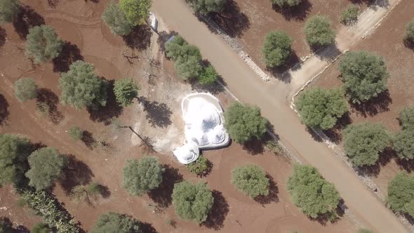 Aerial view Trullo Puglia Traditional italian white stone houses in olive grove South Italy summer