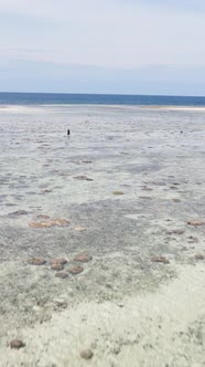 Tanzania  Vertical Video of the Ocean Near the Coast of Zanzibar Slow Motion