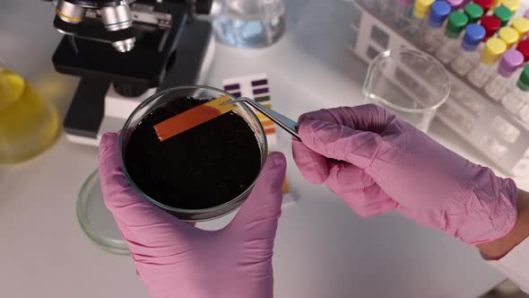 Scientist Chemist Applying Litmus Paper to Petri Dish with Soil in Laboratory Closeup  Movie