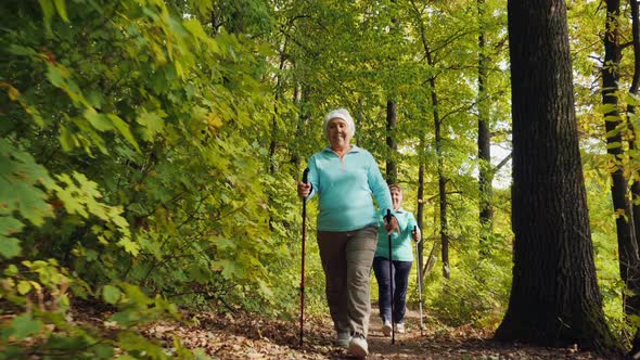 Nordic Walking for Elderly Women Outdoor