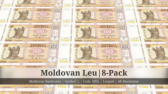 Moldovan Leu | Moldova Currency - 8 Pack | 4K Resolution | Looped