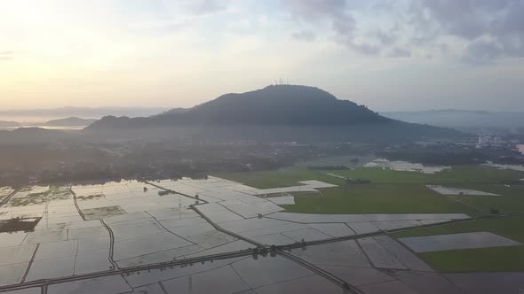 Aerial view paddy field during watering season