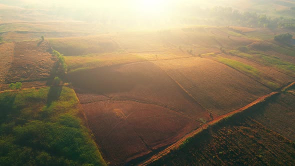 4K : Aerial view flight over the beautiful field in sunset. Countryside scenery.