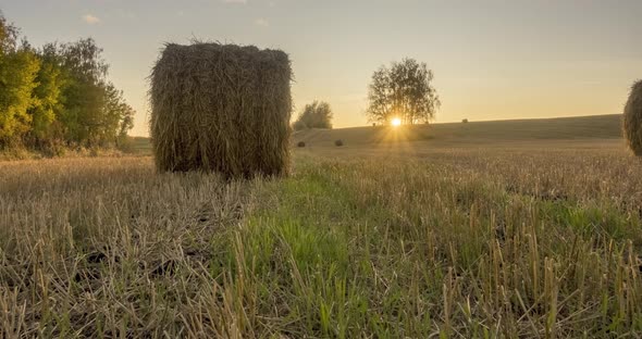 Flat Hill Meadow Timelapse at the Summer Sunset Time