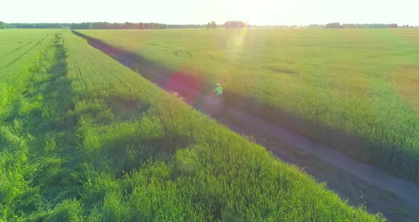 Aerial View on Young Boy, That Rides a Bicycle Thru a Wheat Grass Field on the Old Rural Road