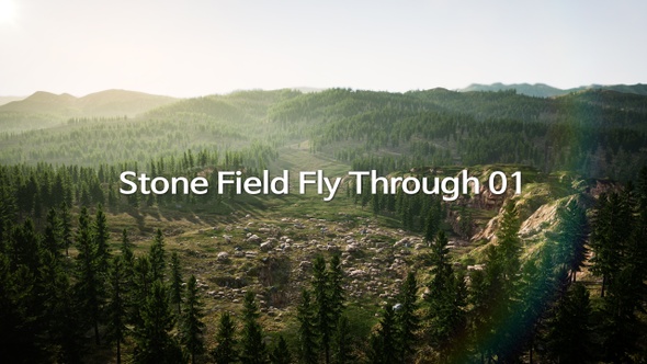 Stone Field Fly Through 01