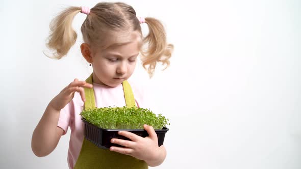 A Small Blonde Girl and Holds a Seedling of Micro Greens in Her Hands and Examines the Sprouts