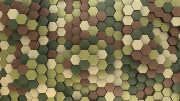 Hexagon Background Camouflage 2 / Safari