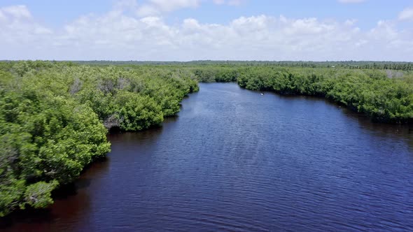 Drone flight over mangroves in wetlands area, San Pedro De Macoris