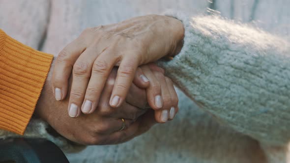 Close Up of Hands of an Elderly Couple in the Park on Autumn Day