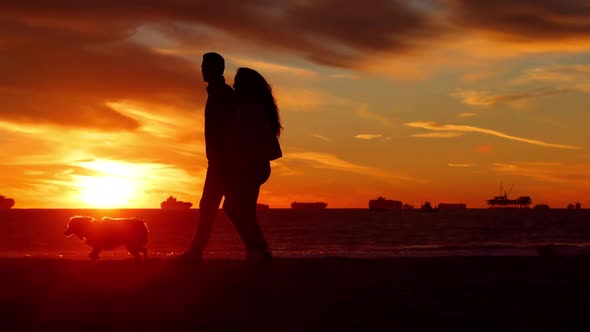 Couple walking their dog on the beach