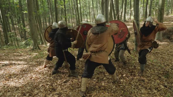 Viking warriors fighting