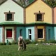 Shooting of a Gray Goat Grazing Against the Background of Colorful Houses - VideoHive Item for Sale