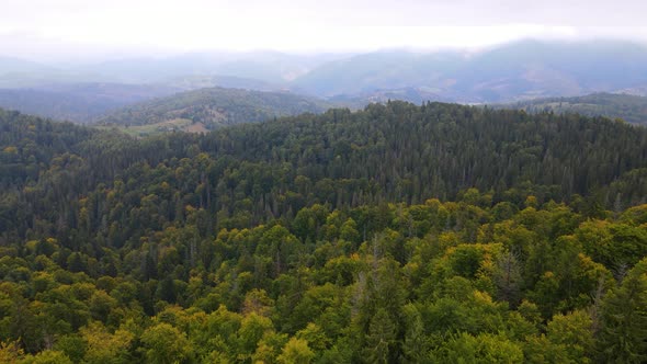 Green Carpathian Mountains in Ukraine