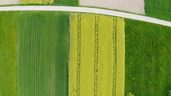 Aerial shot of agricultural area with canola and grainfield
