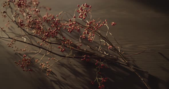 a Beautifully Placed Blackberry Branch Decoration on the Table Morning Light