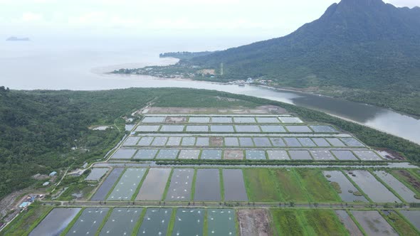 Prawn Fish Farm Aerial