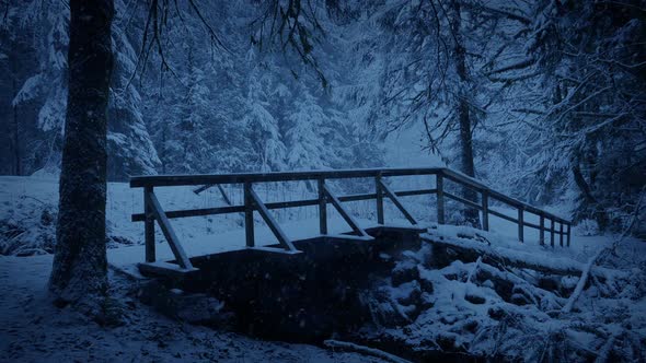 Foot Bridge In Snowy Forest Park At Dusk