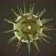 The virus Coronavirus (COVID-19) medical animation. - VideoHive Item for Sale